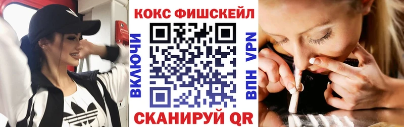 Cocaine Fish Scale  blacksprut сайт  Снежинск 