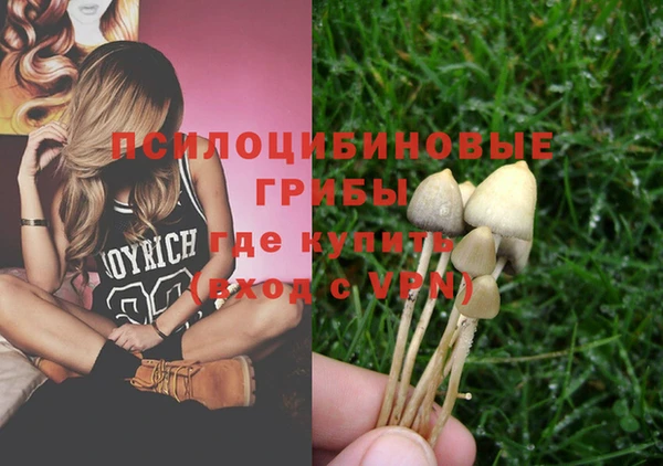 стафф Заволжск
