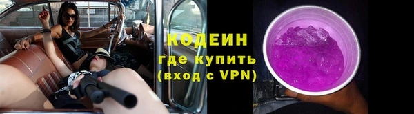 дурь Снежногорск