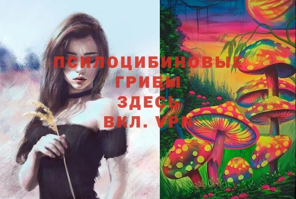 стаф Заволжье
