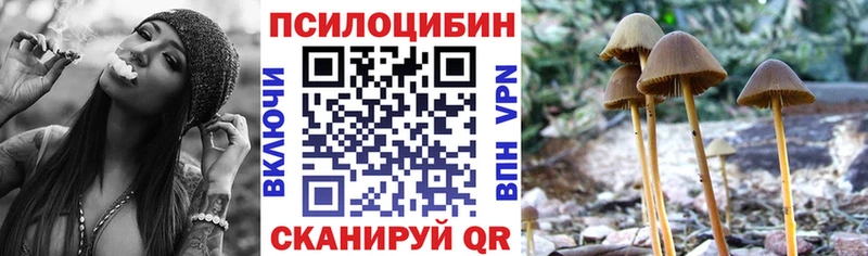 KRAKEN ТОР  Снежинск  Галлюциногенные грибы Cubensis 