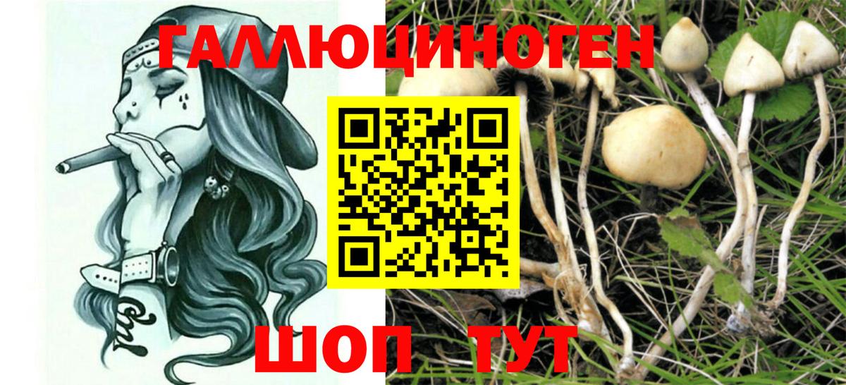 Галлюциногенные грибы Psilocybe  Вход с VPN  Галлюциногенные грибы Magic Shrooms  Снежинск 