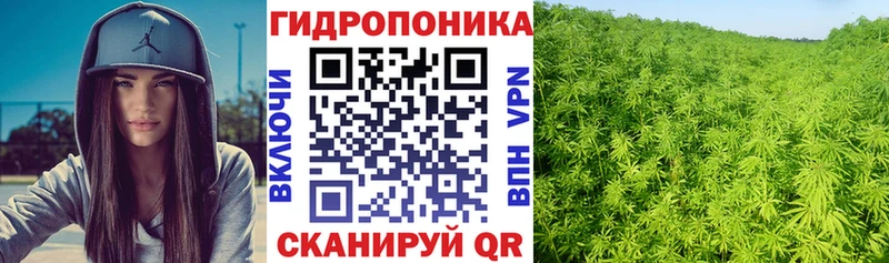 Каннабис индика  blacksprut tor  Снежинск 